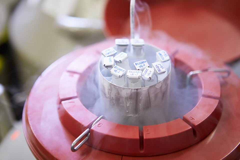 Congelados, Almacenamiento, Banco de Semen, laboratorio, MundoNOW