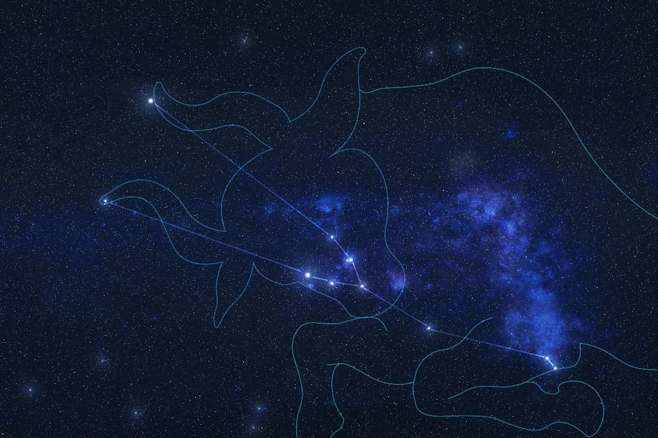Taurus, zodiac signs, astrology, stars, MundoNOW