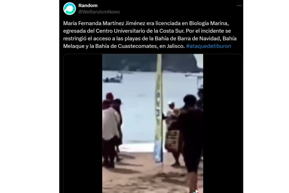  Bióloga marina, Niño testigo, Comunidad costera, Solidaridad, Seguridad en el mar, MundoNOW 