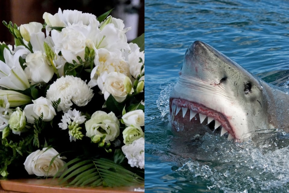 Video of shark attack that killed María Fernanda Martínez Jiménez resurfaces