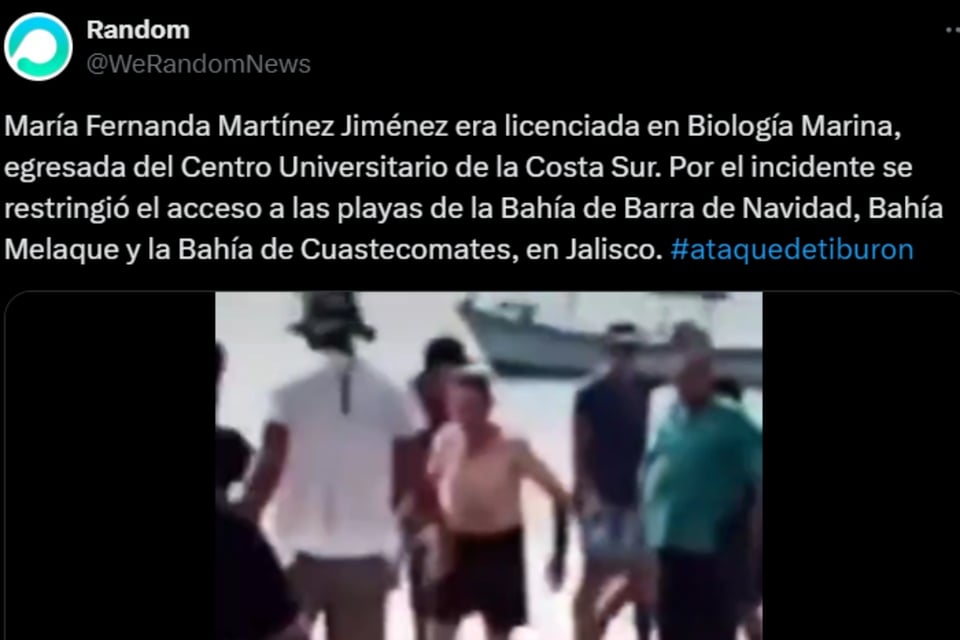  Investigación marina, Video impactante, Héroe anónimo, Pérdida irreparable, MundoNOW