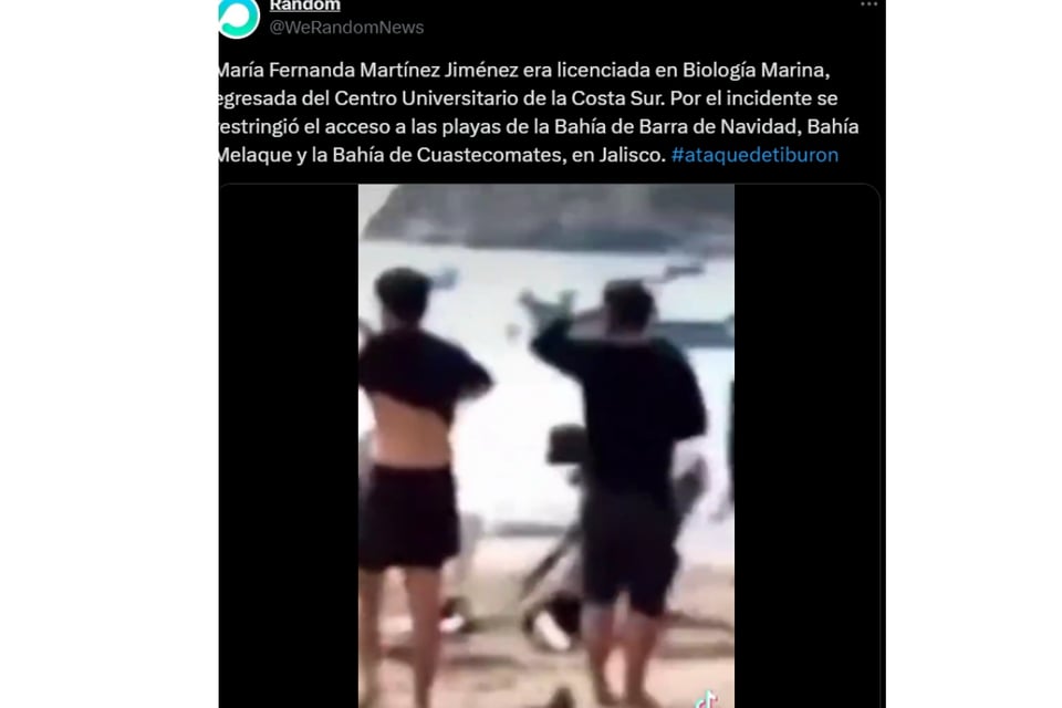 Prevención de ataques, Conservación marina, Ciencia y océanos, Riesgos en el trabajo, MundoNOW