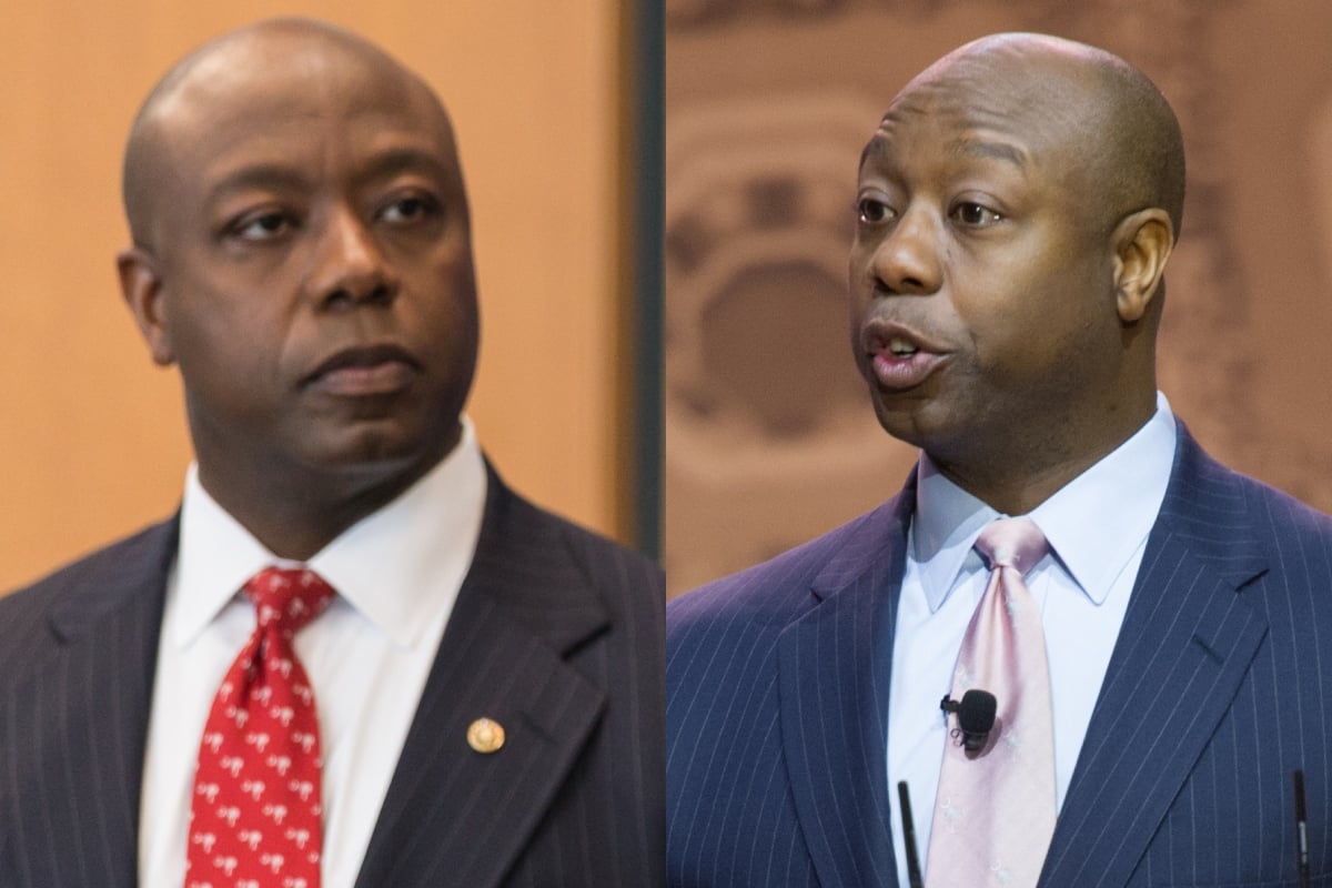 Senator, Tim Scott, election, Republican, USA