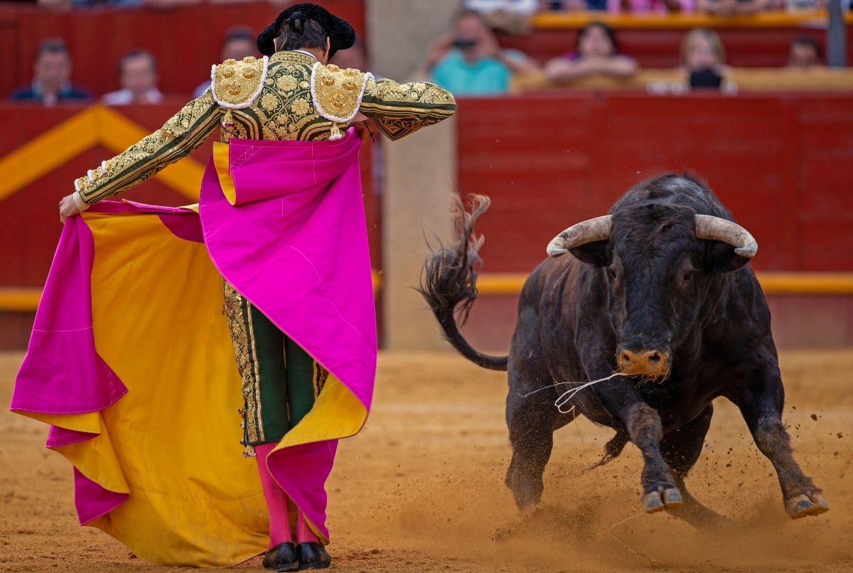 Mexican bullfighter Rafael Ortega Blancas dies at the age of 53
