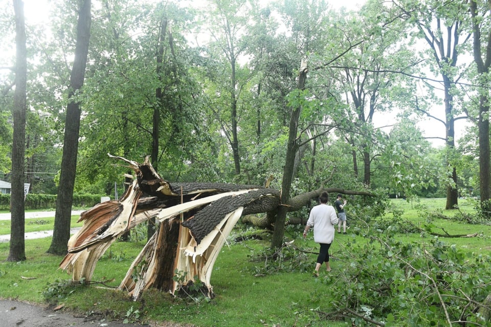 Tornados en Michigan, Maureen Miller Brosnan, alcaldesa, tragedia, MundoNOW