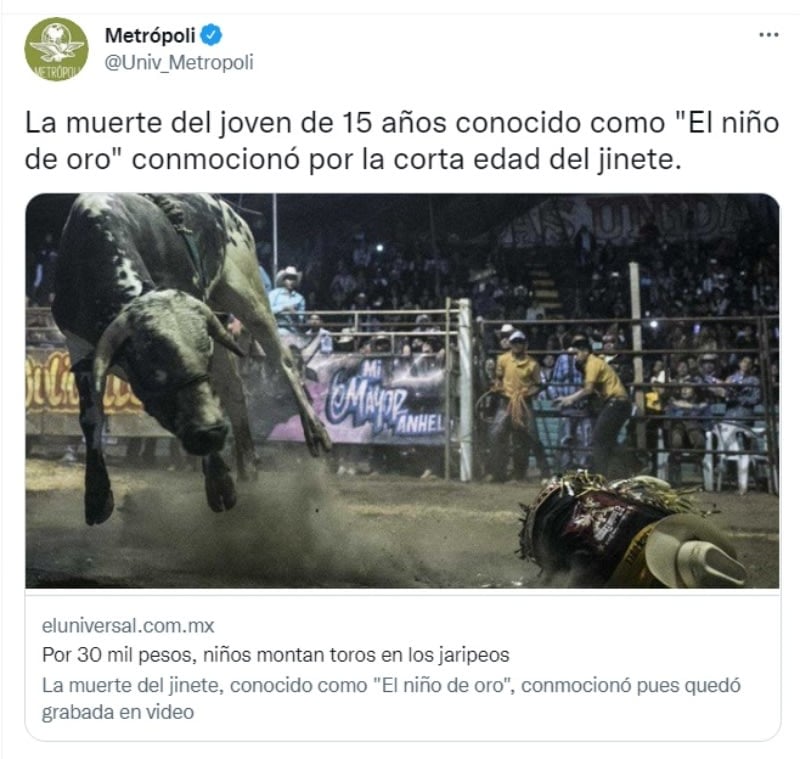 Bull kills the famous Golden Boy