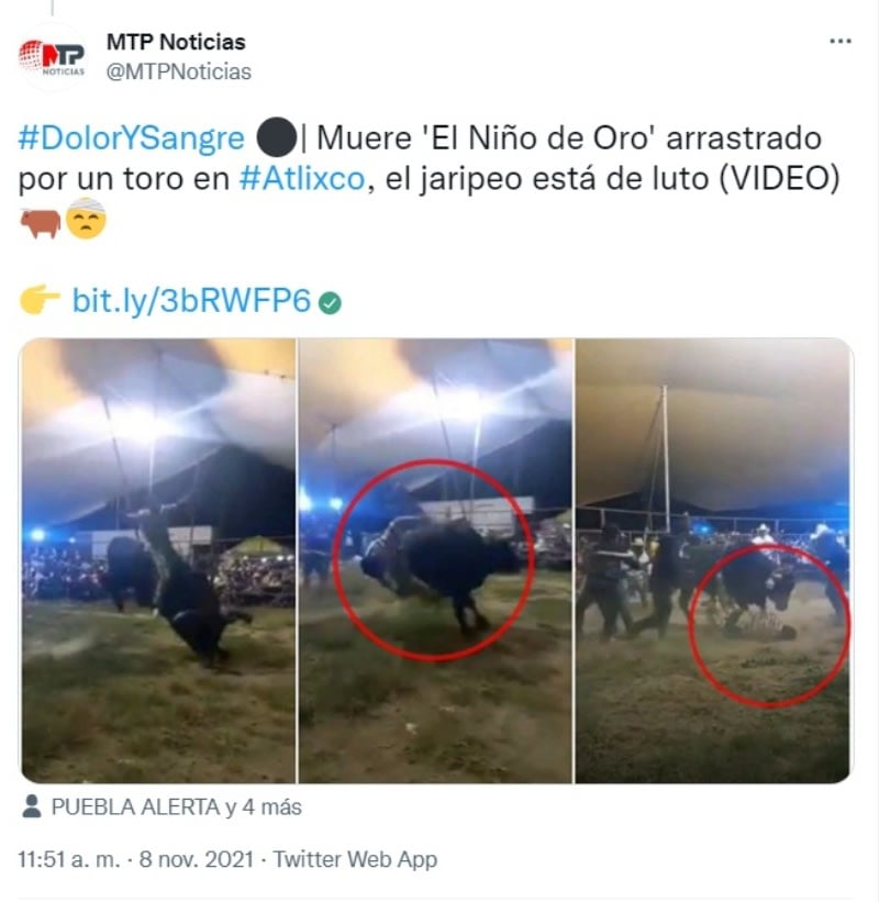 They accuse of animal abuse in Jaripeos before the bull killed the Golden Child