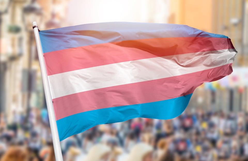 Transgender Kansans intervene in lawsuit over driver’s licenses