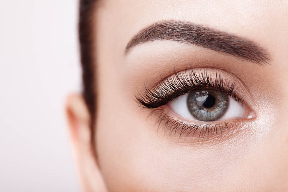 Eyebrows, eyelashes, woman, face, close-up
