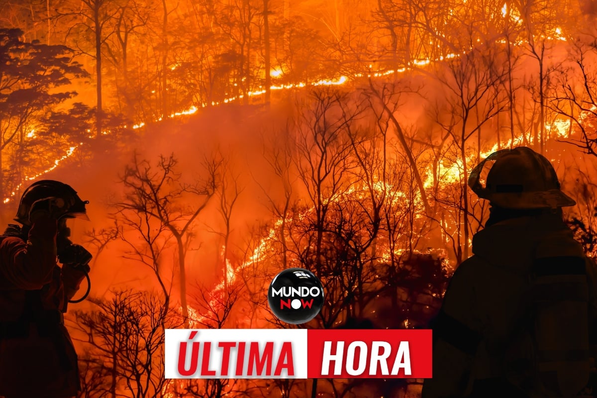 incendio, viral, california, estados unidos, portada