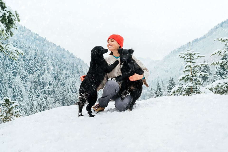 Winter hazards for pets: What every owner should know
