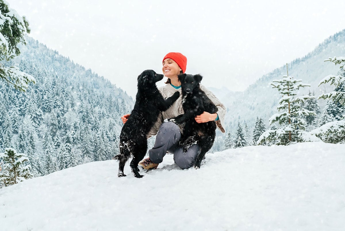 Winter hazards for pets: What every owner should know