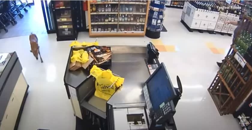 Another deer had entered a grocery store in Wisconsin