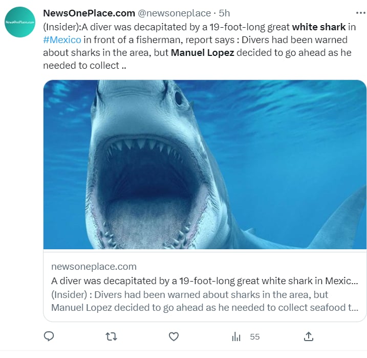 TIBURÓN BLANCO ATACA A PESCADOR