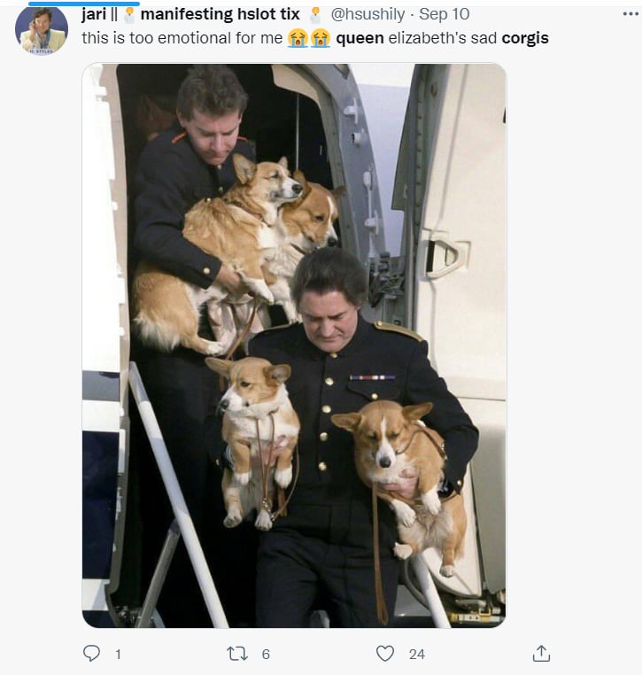 ¿QUIÉNES ADOPTARON A LOS CORGIS DE LA REINA?
