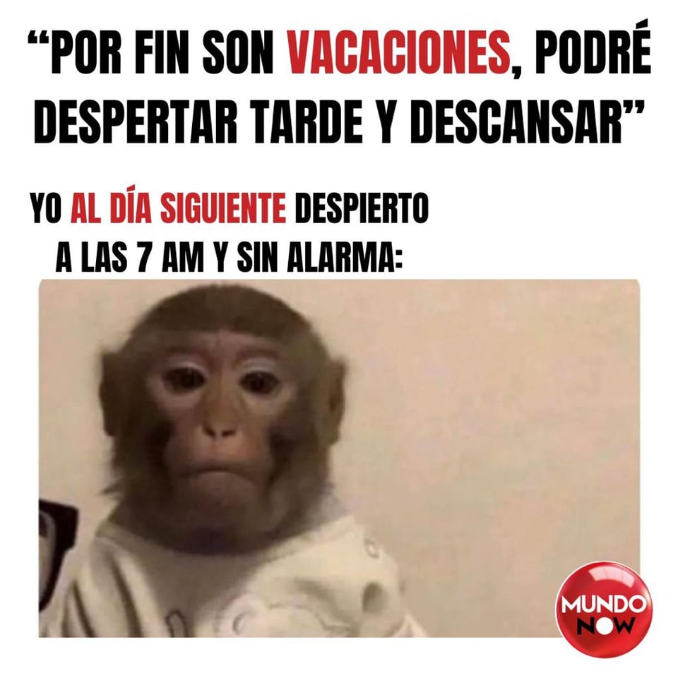Vacaciones, chango, tarde, descanso, alarma