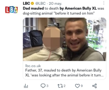 Papá mutilado por un perro
