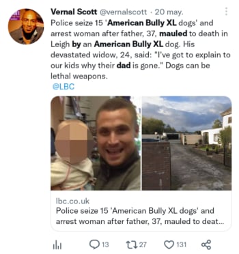 Papá mutilado por un perro