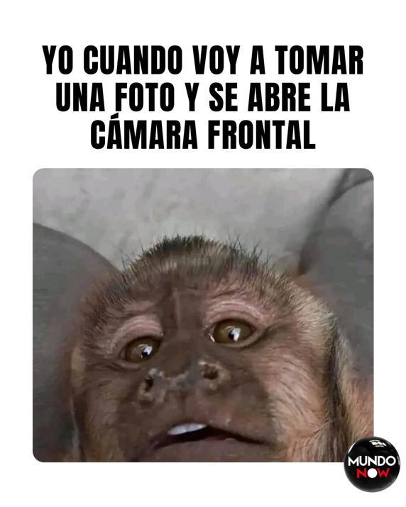 foto, celular, cámara, Memes solo <yoastmark class=