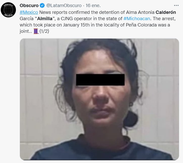 Cartel queen Alma Calderón arrested: How was she apprehended?