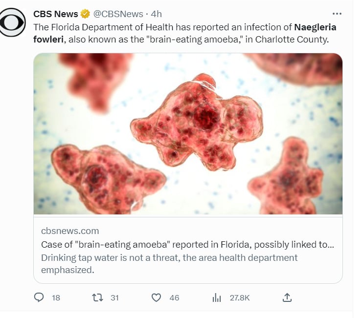 What caused the disease?