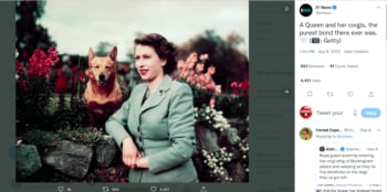 ¿Por qué el príncipe Andrew se quedó con los perros?