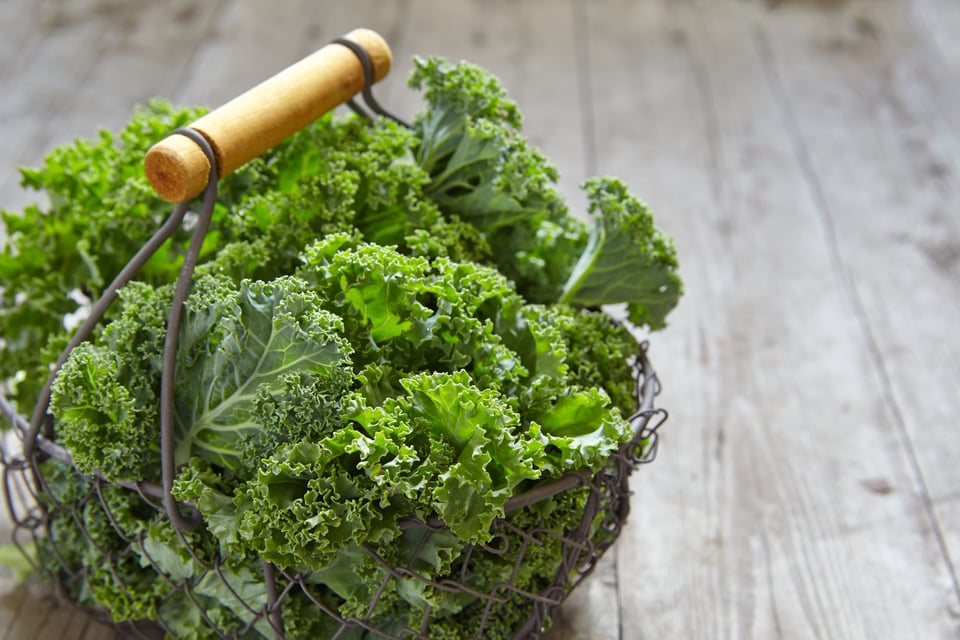 chlorophyll, spinach, kale, leafy greens, green poop