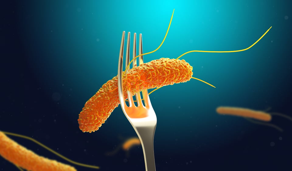 Organic Salmonella Products