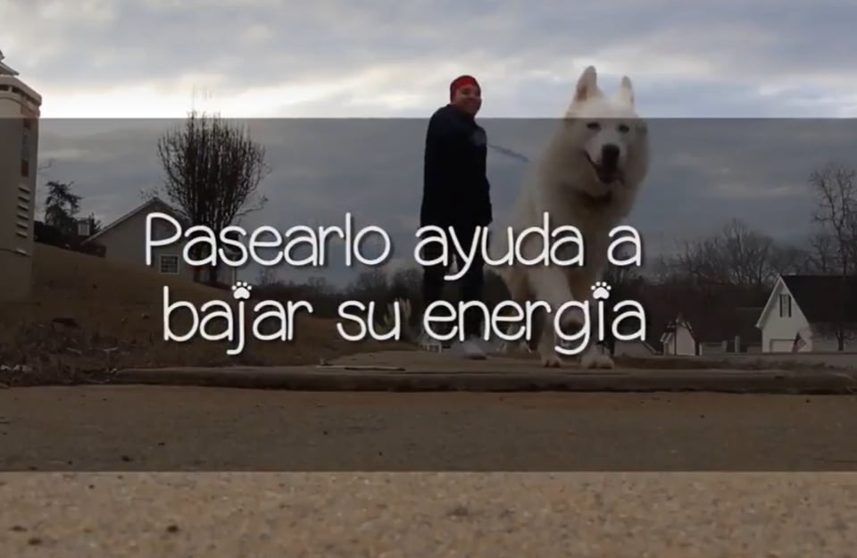 consejos, recomendaciones, vacaciones, Motor, MundoNOW