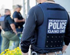 Police chronicle with everything