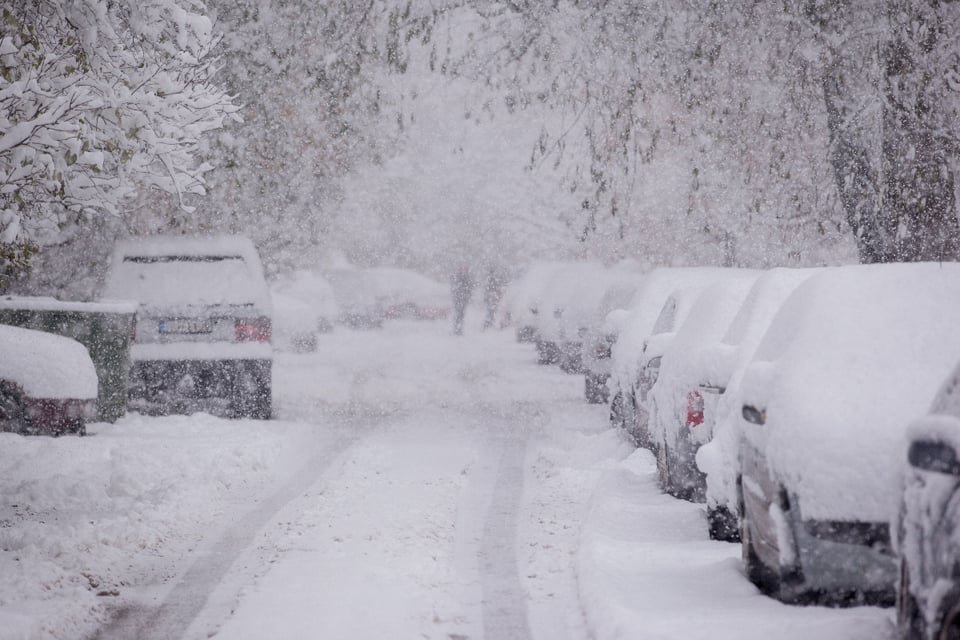 Nieve