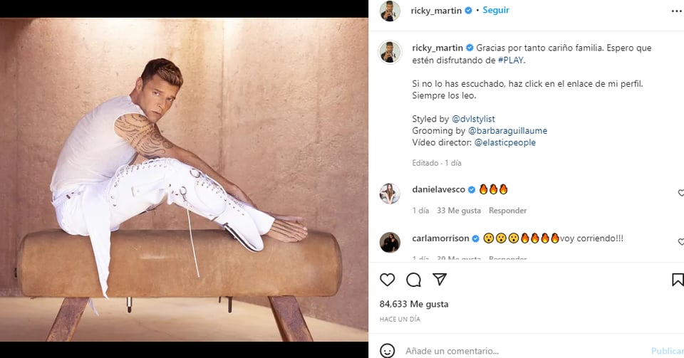 Ricky Martin was sued for domestic violence
