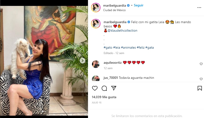 ¡Perdió a su fiel compañera!