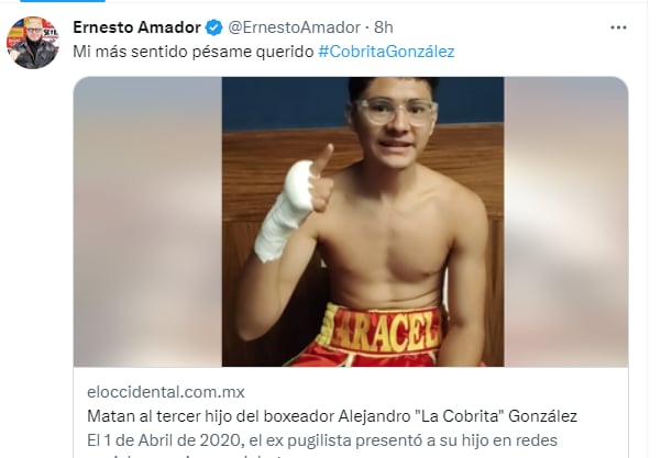 ¡Listo para la pelea!