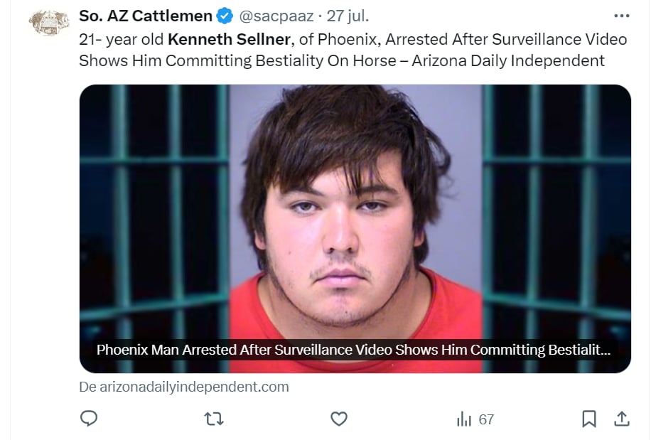 Kenneth Sellner, caballo, phoenix, policía, eeuu