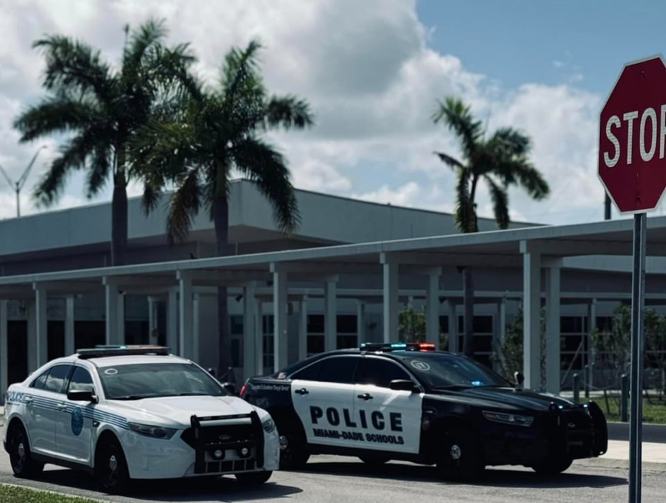 Departamento de Policía de Miami, palmeras, patrullas, Miami, MundoNOW