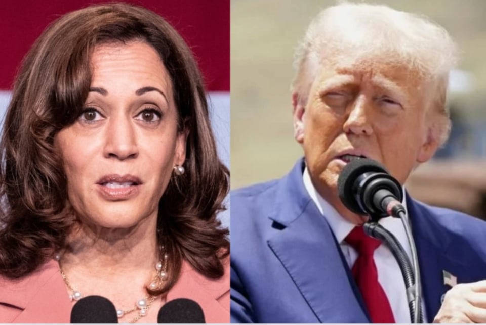 Kamala Harris Leads Donald Trump in Polls, survey, presidency, MundoNOW