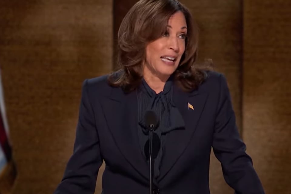 Kamala Harris, Convención Democrática, EEUU, Biden, 2024. poco serio