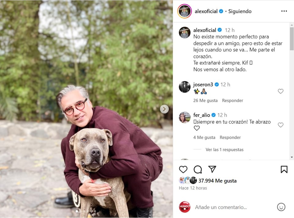 Alejandro, Fernández, Kif, Mascota, amor