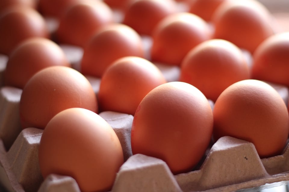 Precio de huevos, EE.UU., alcanza récord histórico