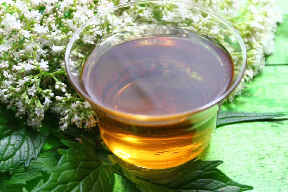 Bebidas, Salud, Té, Bienestar, Consejos