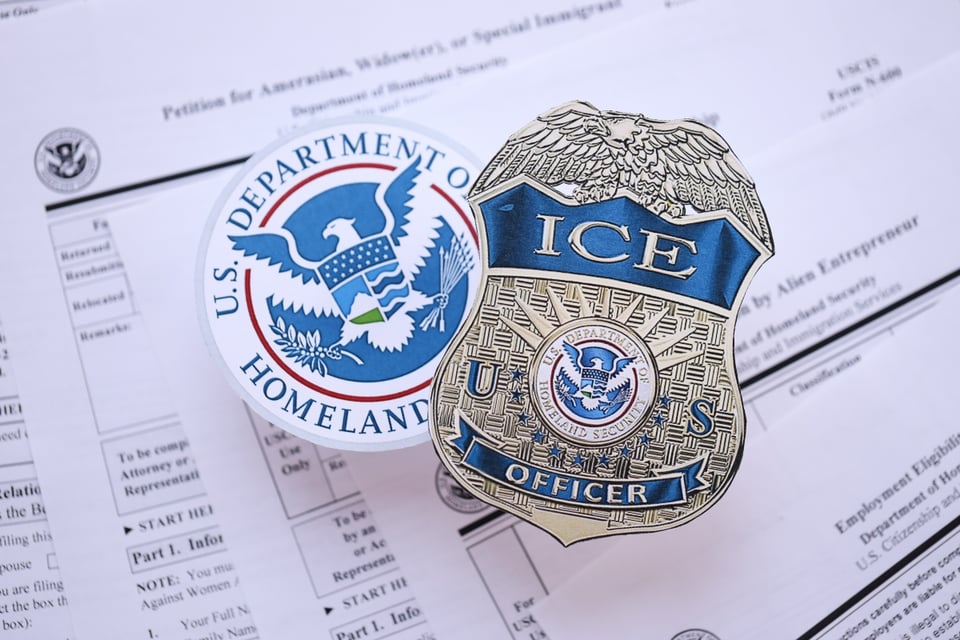 ICE, arrested, pandemic, immigrants, deportees