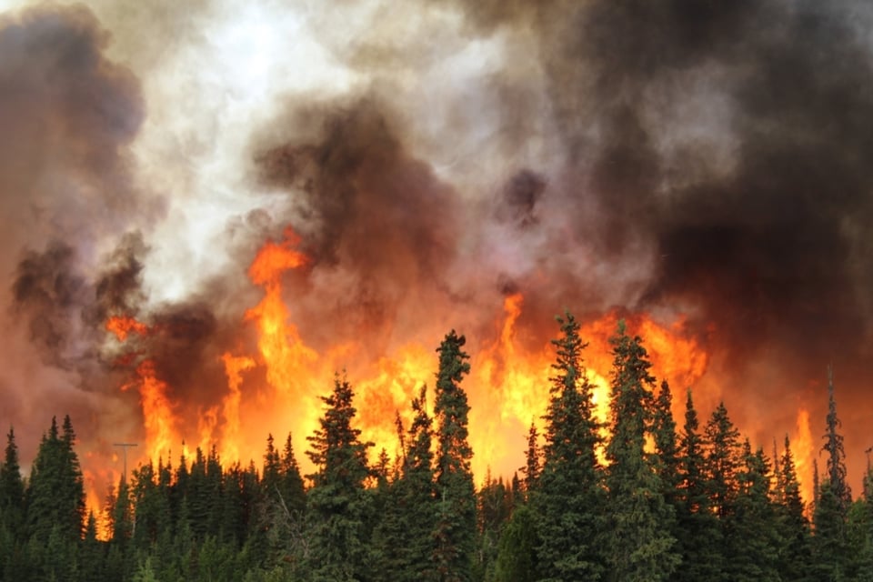 Krome, incendio forestal, Miami MundoNNOW
