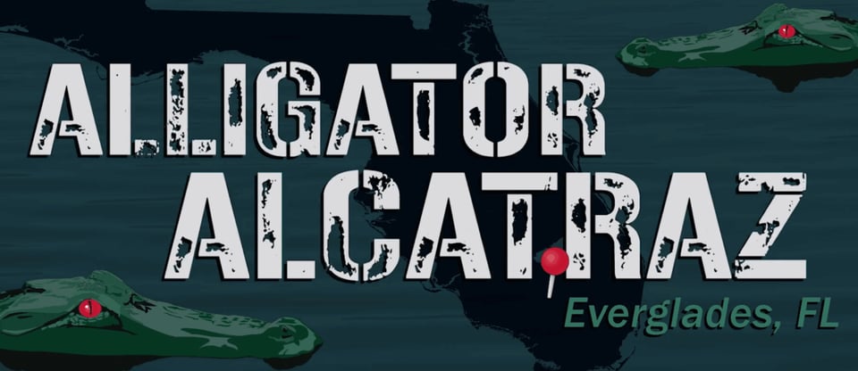 florida, pitones, cocodrilos, caimanes, prision 