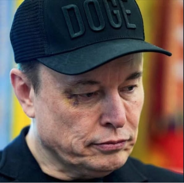 musk, trump, ojo, morado, gobierno