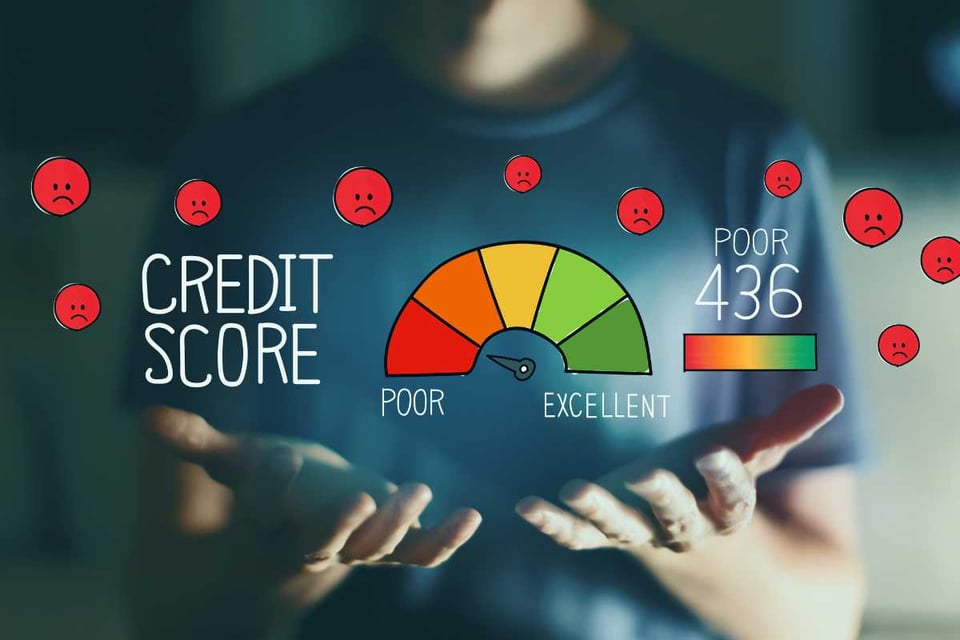 persona viendo una imagen colorida con la palabra credit score