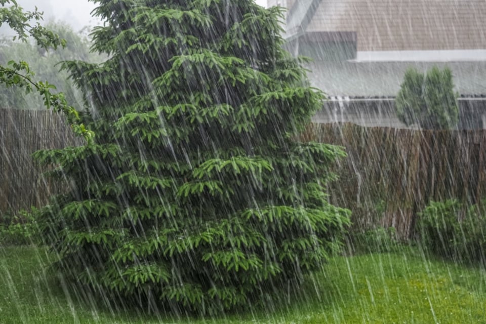 Lluvias alivian la sequía en varias partes de EEUU