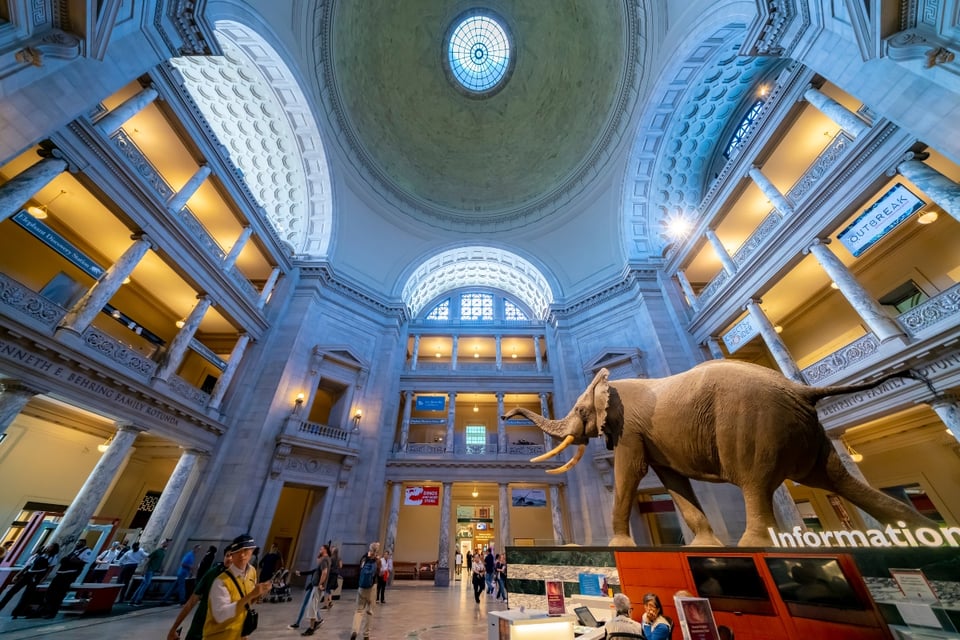 cierre del Gobierno, Smithsonian, museos MundoNOW