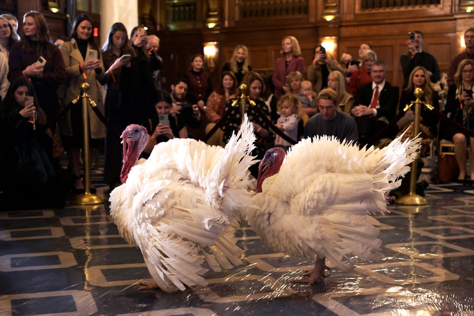 Indulto del pavo en la Casa Blanca
