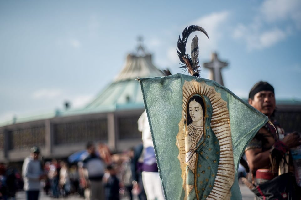 virgencita de guadalupe, rosa, mexico